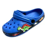 Dinosoar Clogs